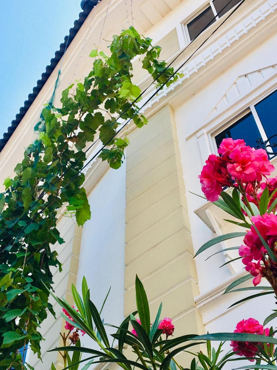 Daffodils Spice Court Kochi Exterior foto